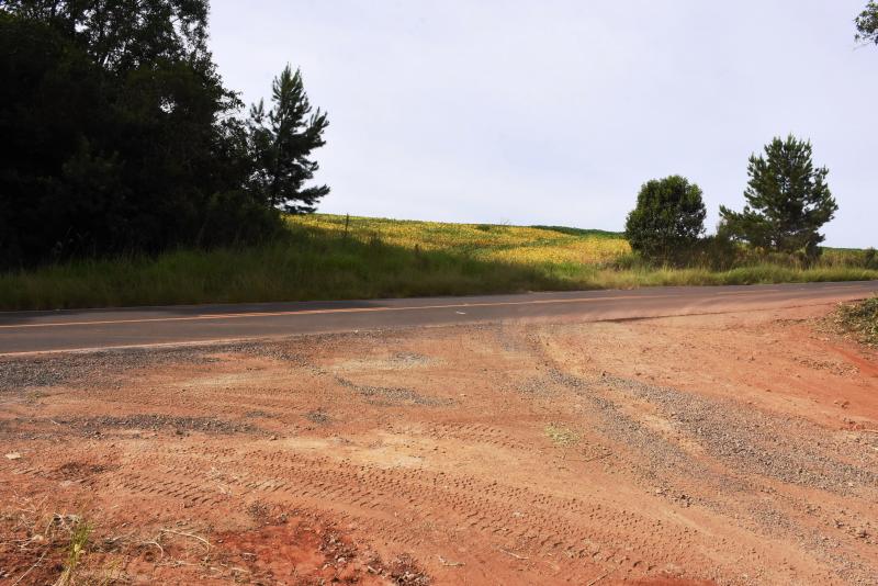 Vereador Júnior Gurtat solicita melhorias para a estrada do Rio do Tigre